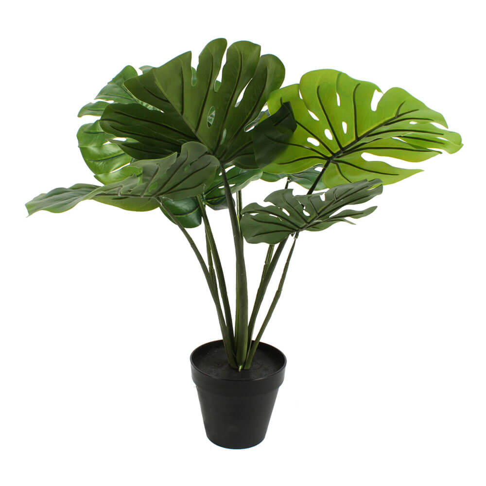 Plante i potten 60 cm