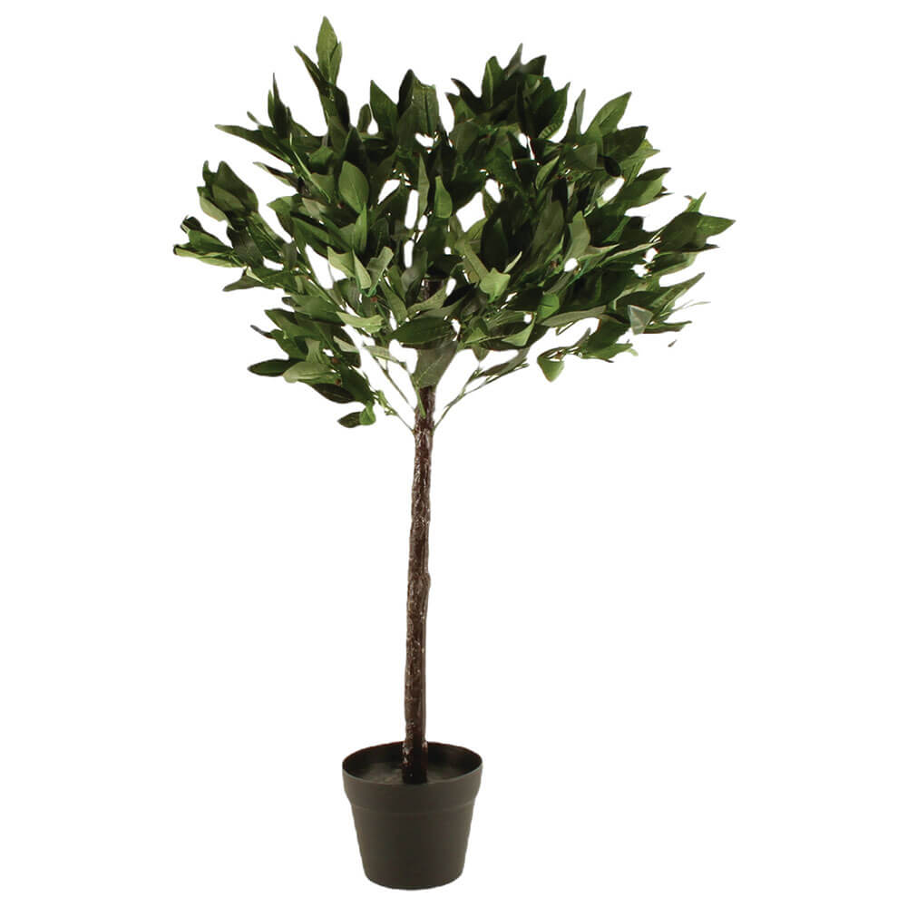 Plante i potten 60 cm