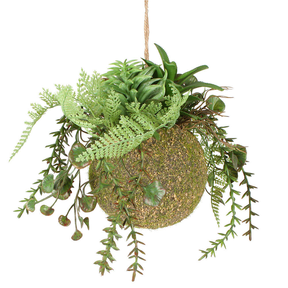 Moana Kokedama misto