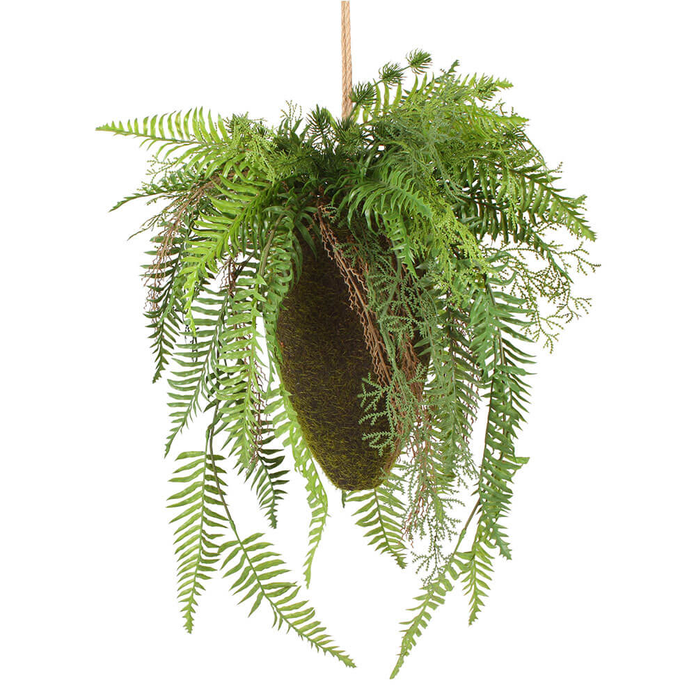 Moana Kokedama blandet hengende