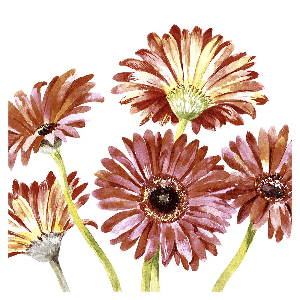 Paper+Design Gerbera Luncheon-Servietten