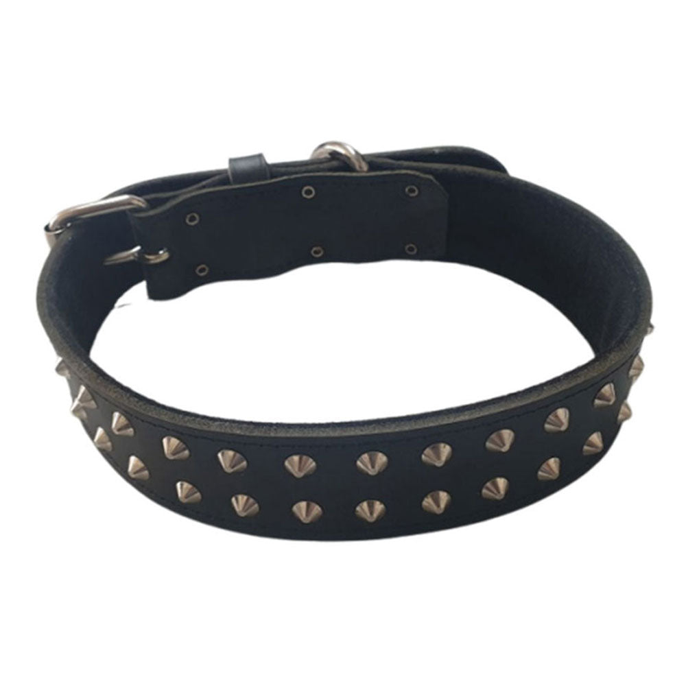 Collar de cuero Rottweiler