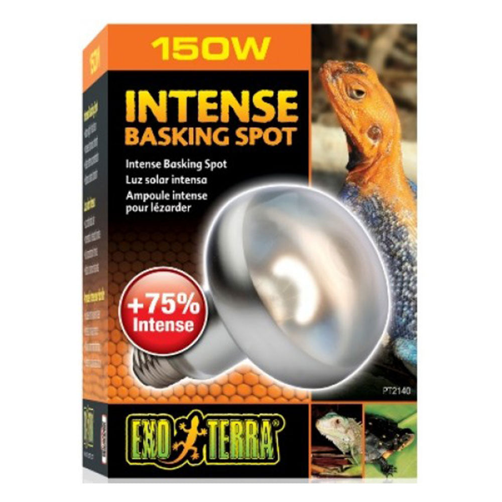 EXO TERRA Intense Basking Spot Lamp