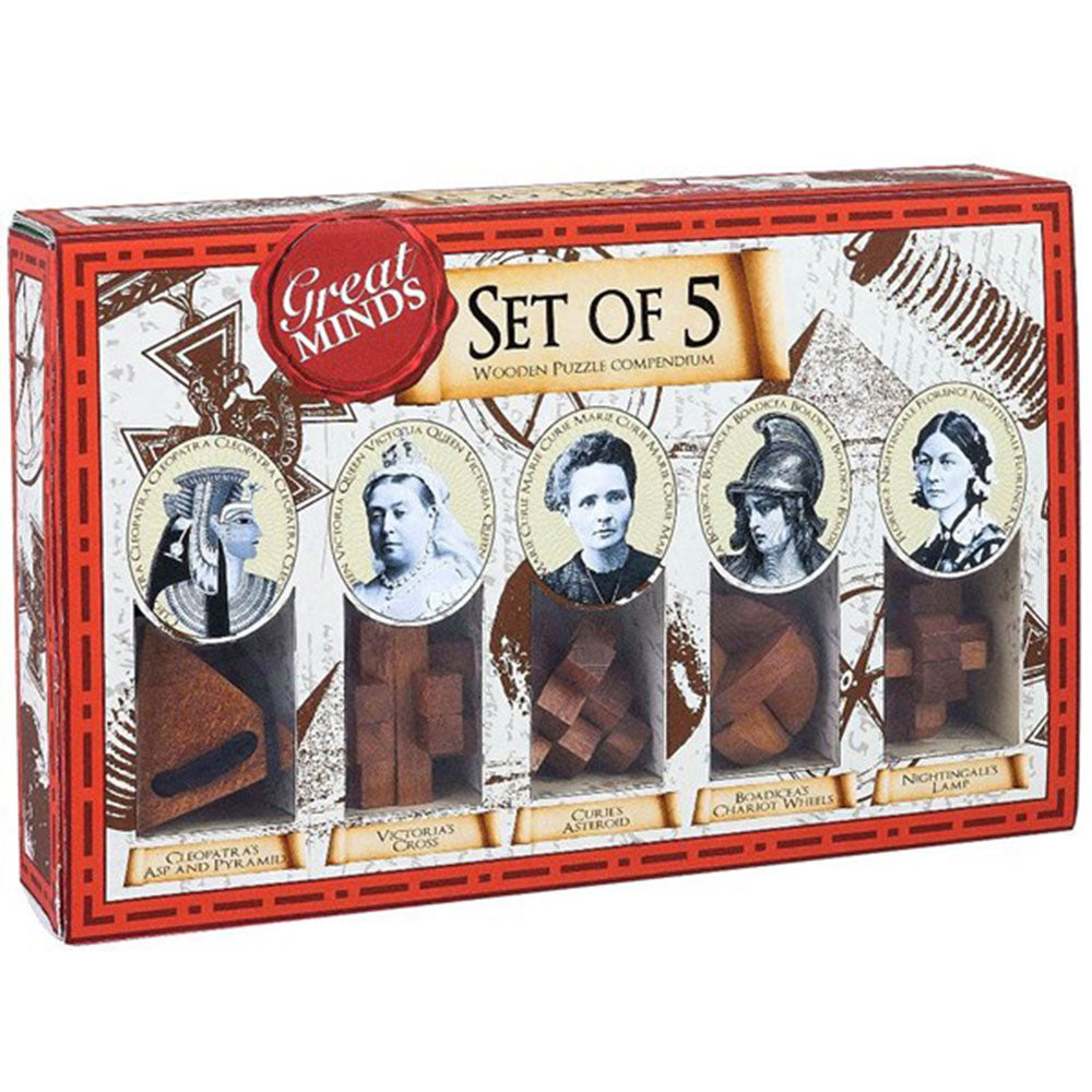 Great Minds Wood & Metal Brainreaser Puzzle 5pcs