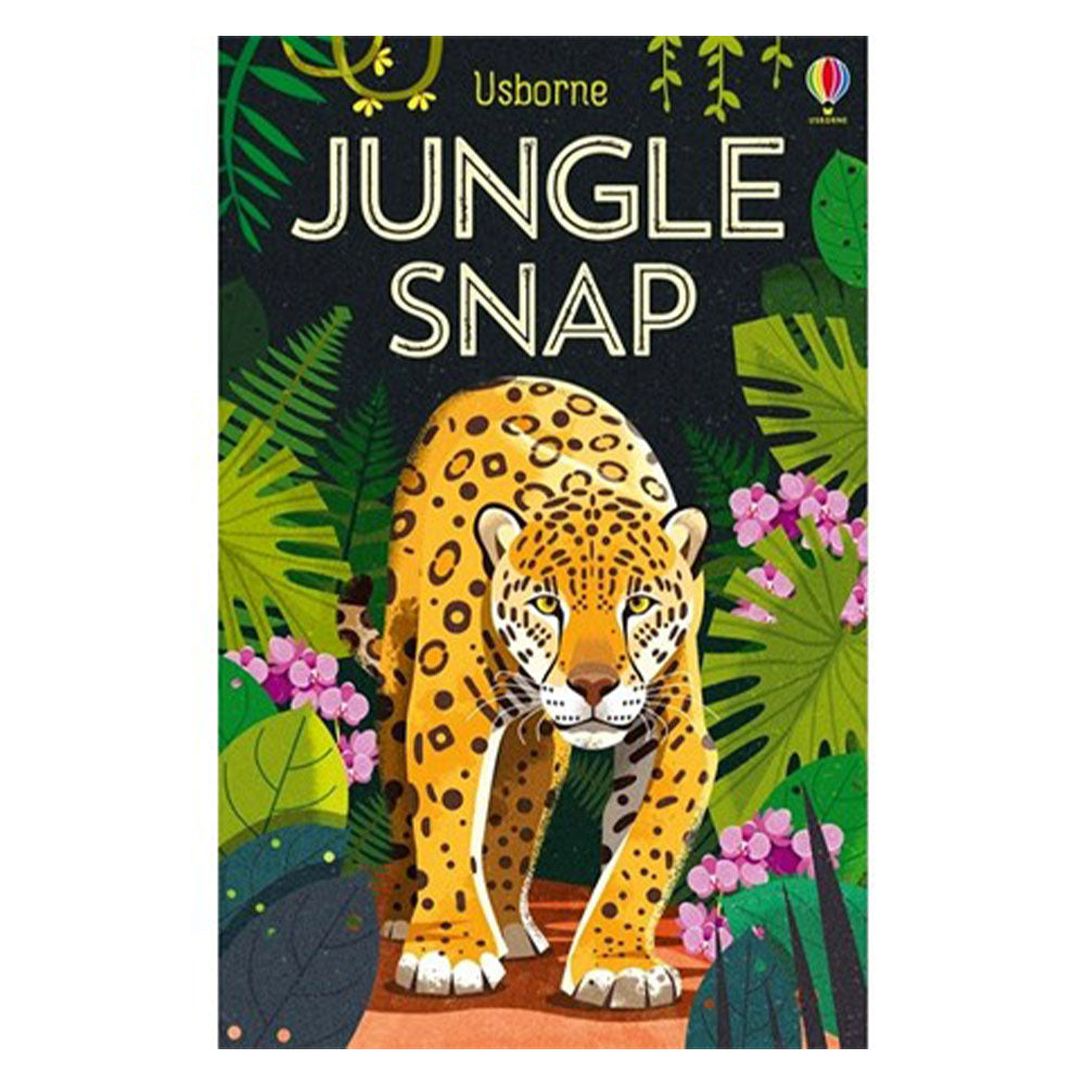  Usborne Snap-Kartenspiel