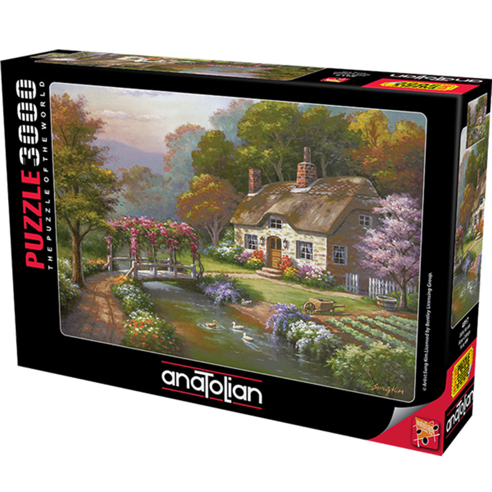 Anatoliano il puzzle del mondo 3000pcs