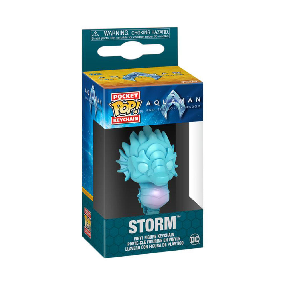 Aquaman and the Lost Kingdom Storm Pop! Keychain