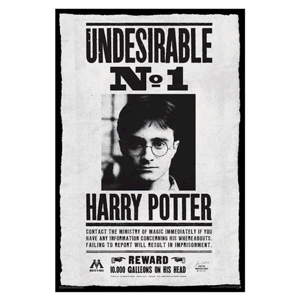 Plakat Harry Potter