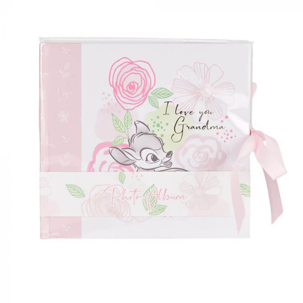 Álbum de fotos de Disney Gifts