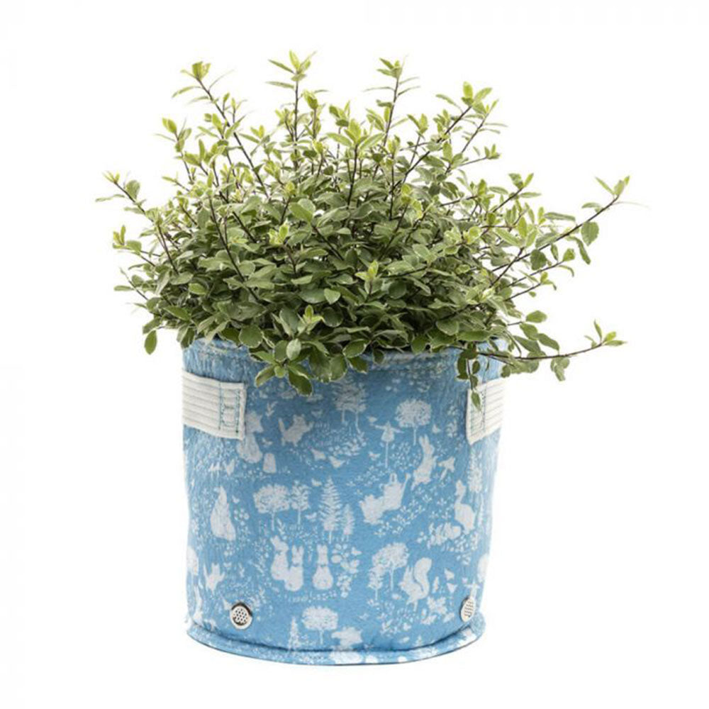 BEATRIX POTTER Fabric Eco-Pot (bleu)