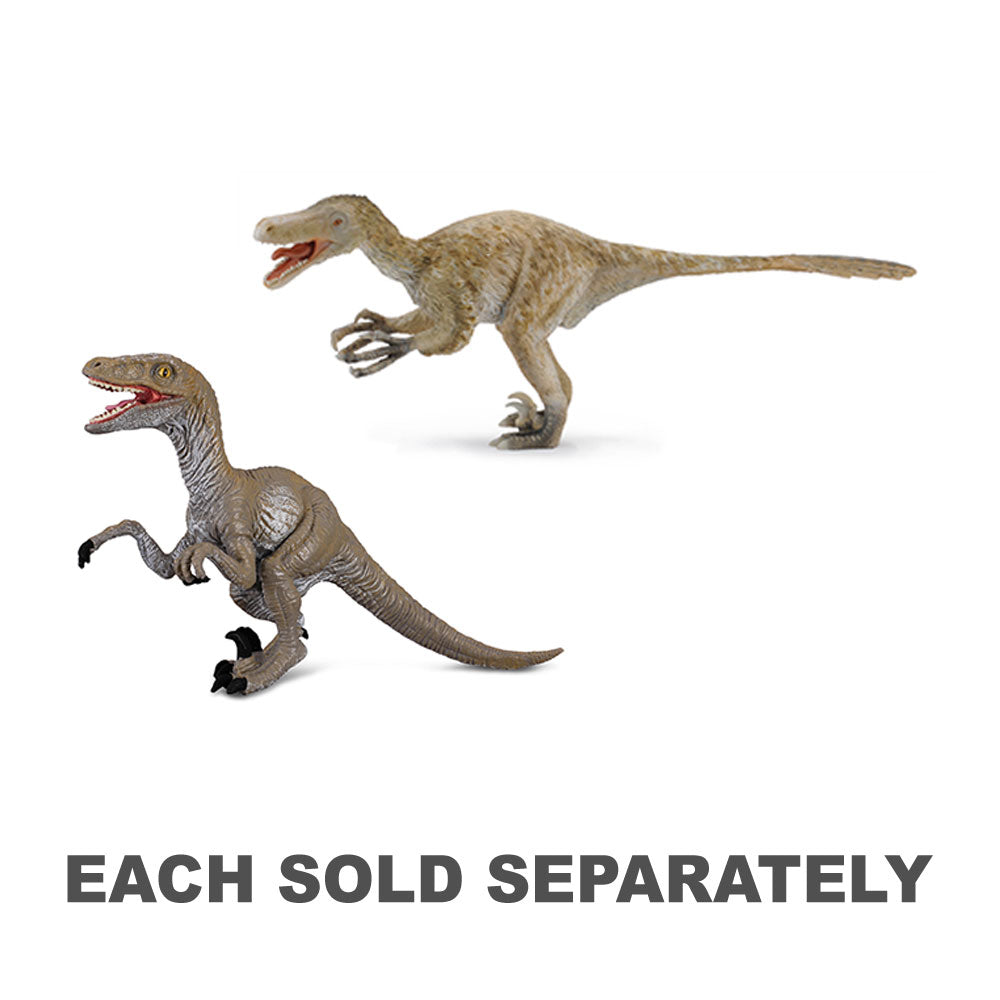 CollectA Velociraptor Dinosaur Figure