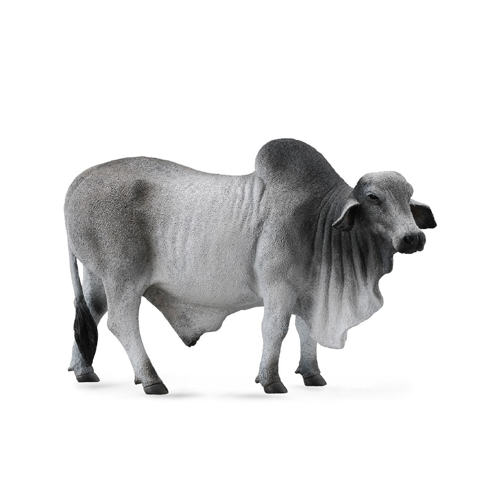 Figure de taureau Brahman Collecta (grand)