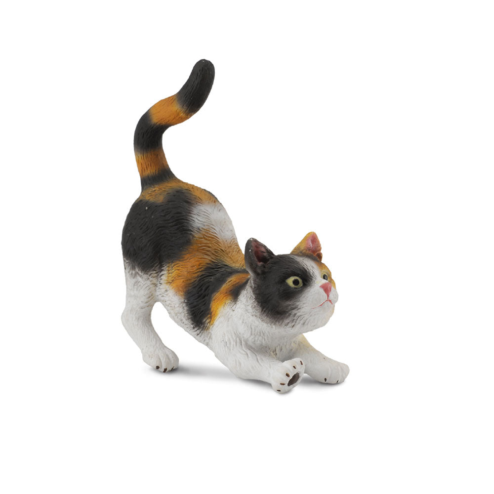 CollectA Moggy Cat Figur (klein)