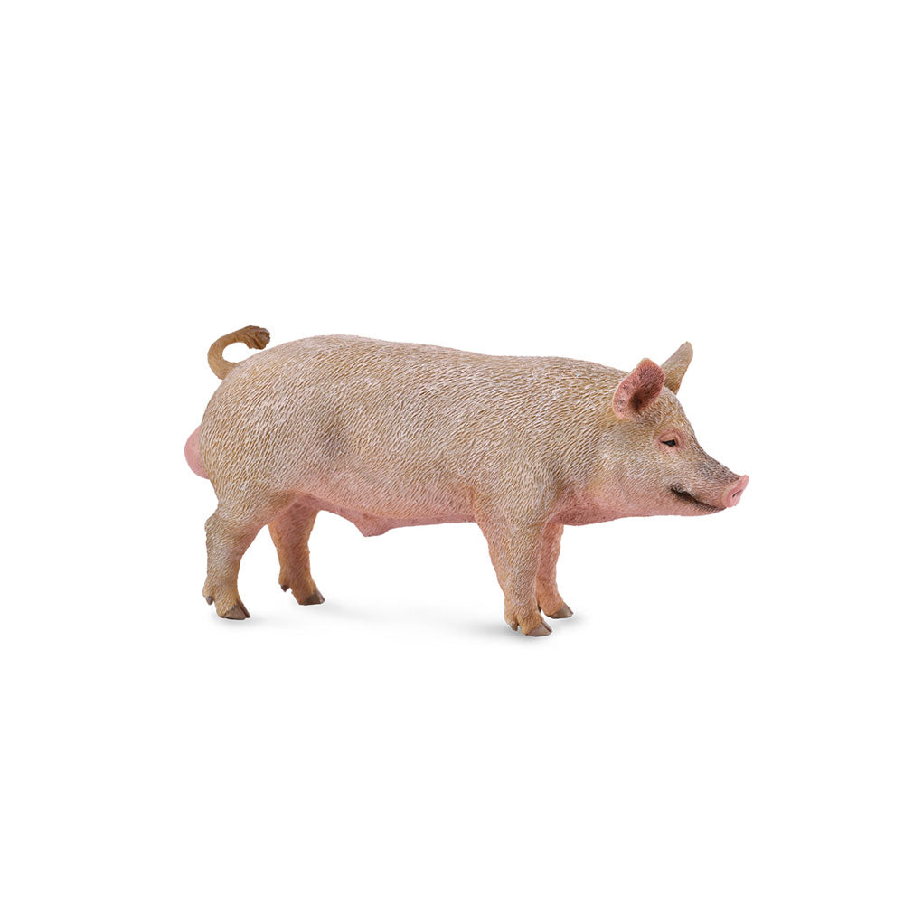 COLCA PIG Figur (medium)