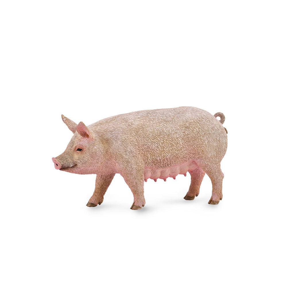 Collecta Pig Figur (medium)