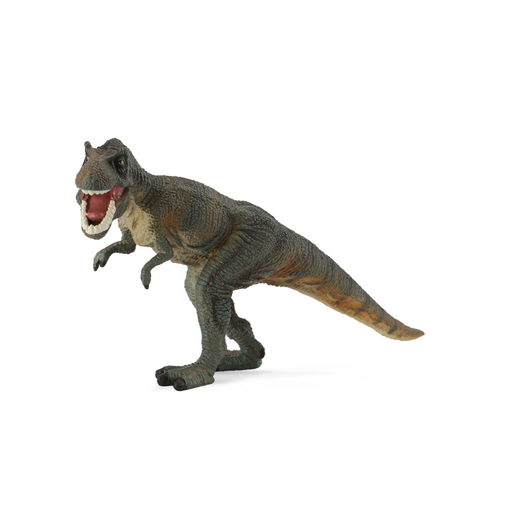 Collecta Tyrannosaurus Rex Dinosaur Figuur (groot)