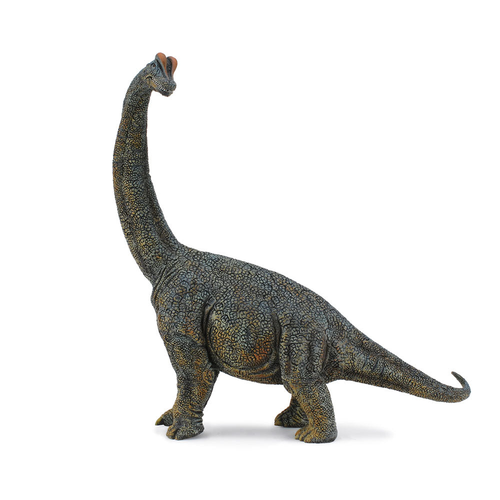 Collecta Brachiosaurus Dinosaur Figur