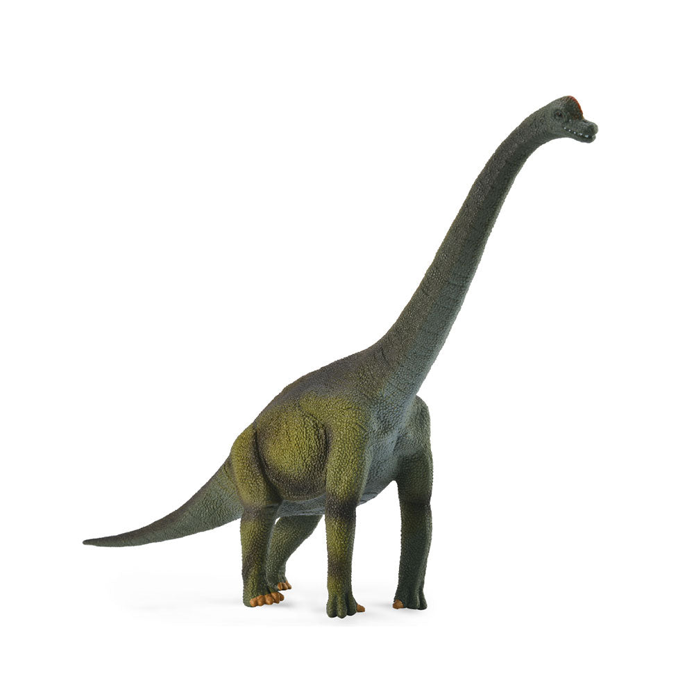 Figura de dinossauro Brachosaurus colecionada