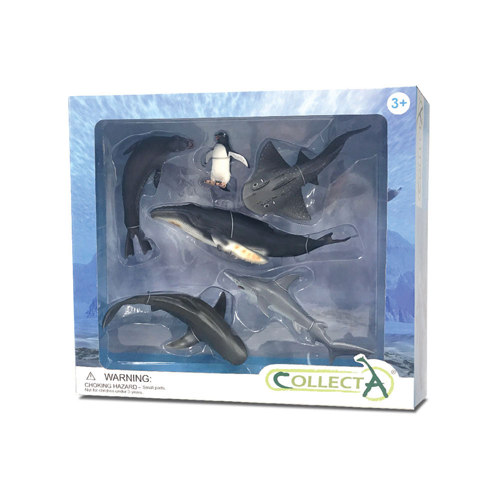  CollectA Meerestier-Figuren-Geschenkset (6er-Pack)