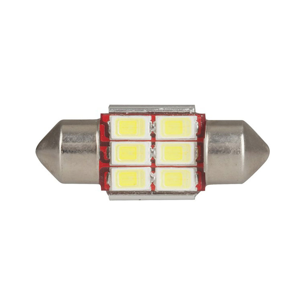 CanBus Compatible LED Festone Globe 12V (6x5730)