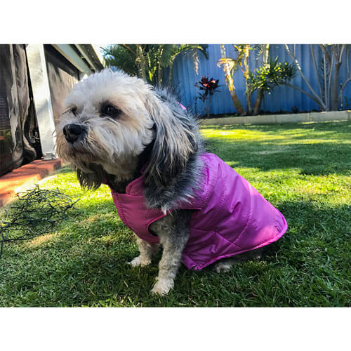 Puffa Dog Jacket 40cm