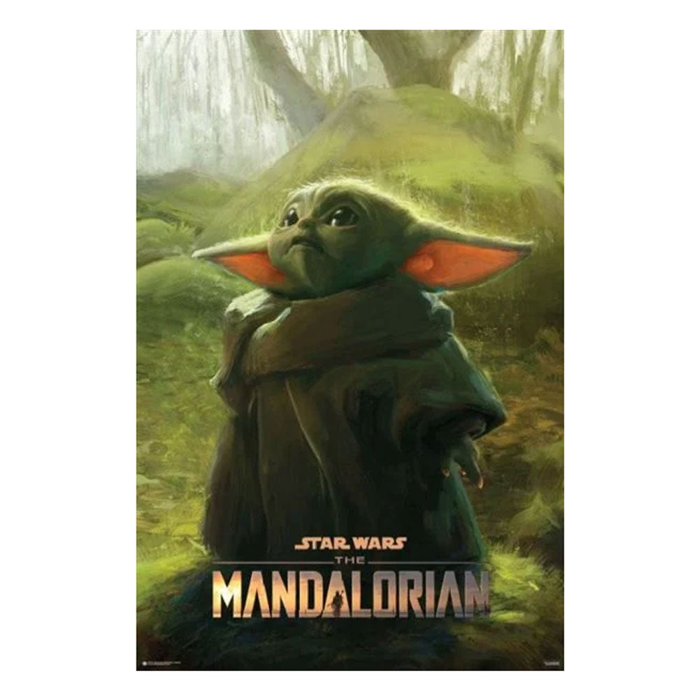 Star Wars The Mandalorian Poster