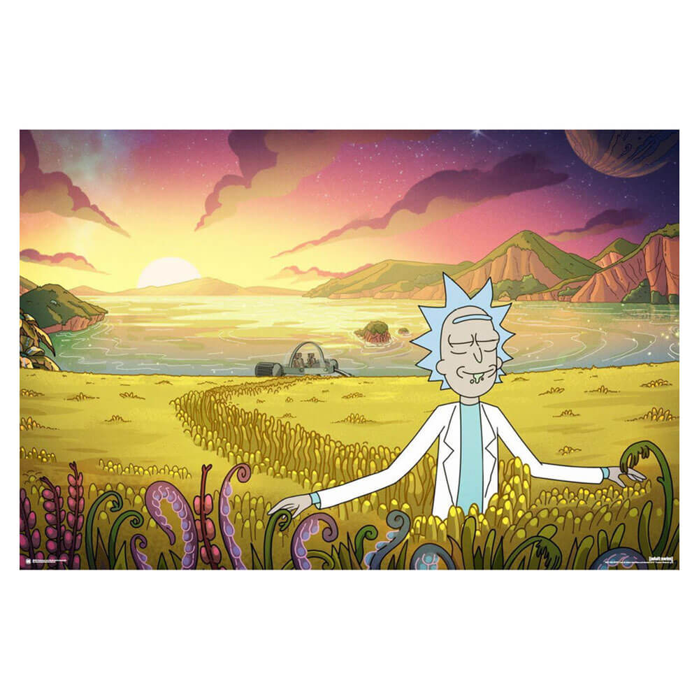 Impact Rick e Morty Poster (61x91,5 cm)