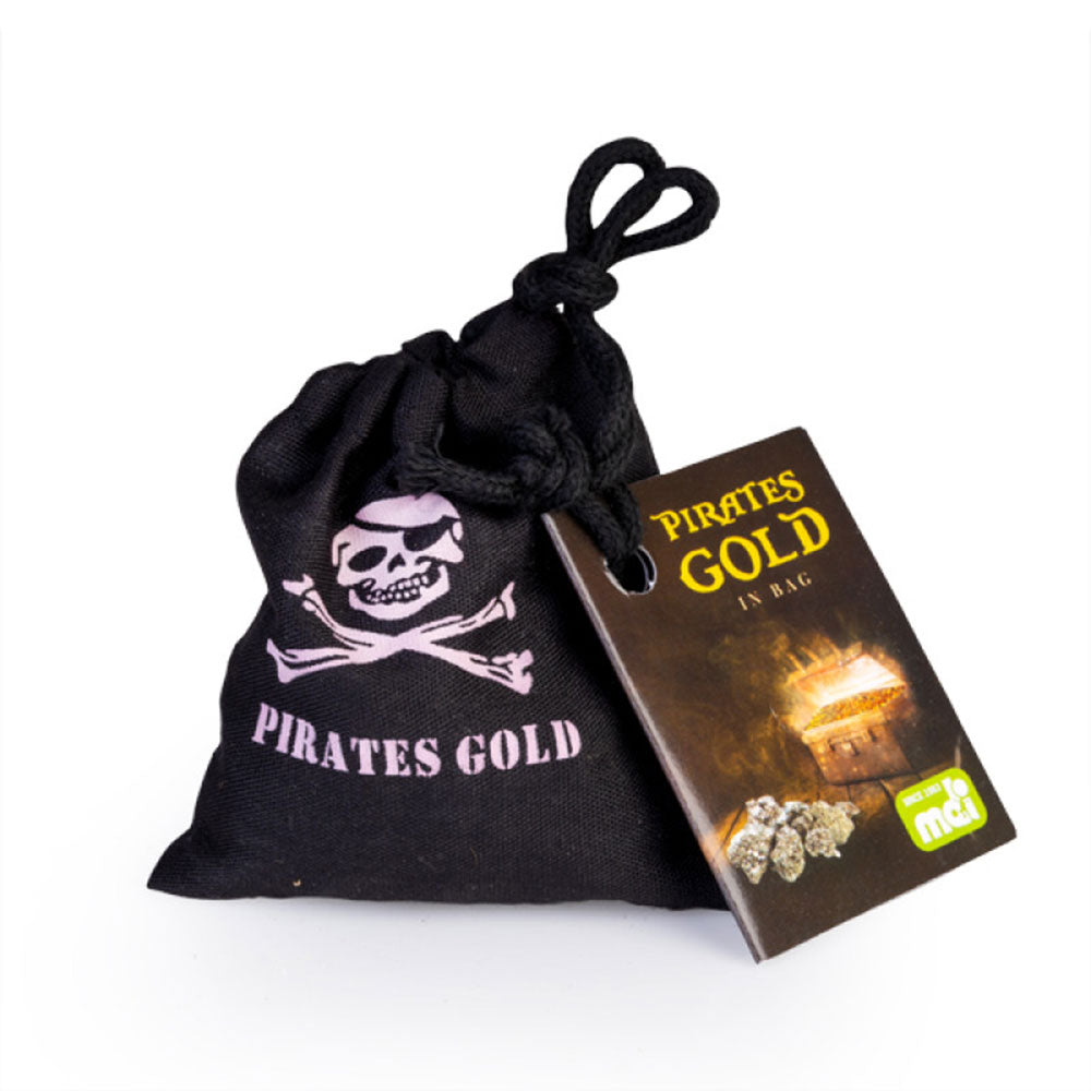 Pirate Gold in Bag