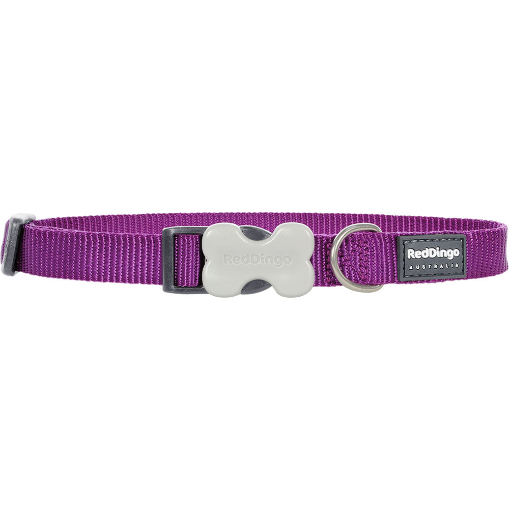 Collar per cani classico (viola)