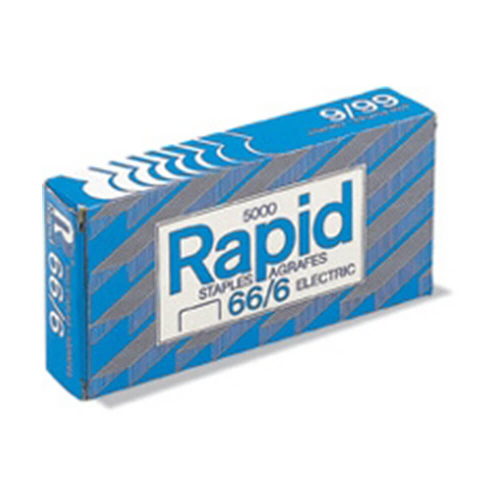 Staples rapides (5000pk)