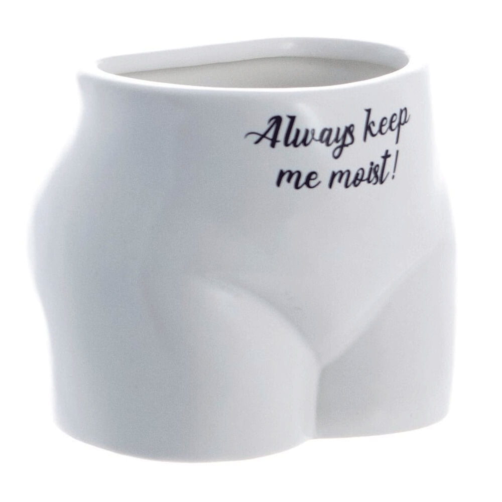 Metti alcune piante! Vaso